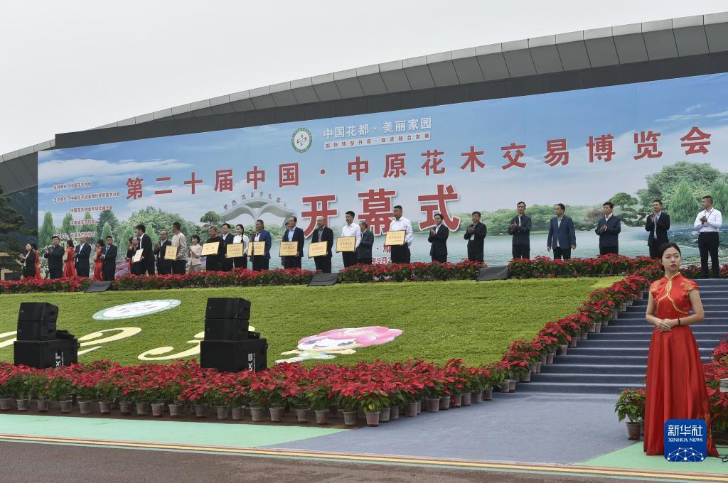 法国啄木鸟无限赌场下载下载